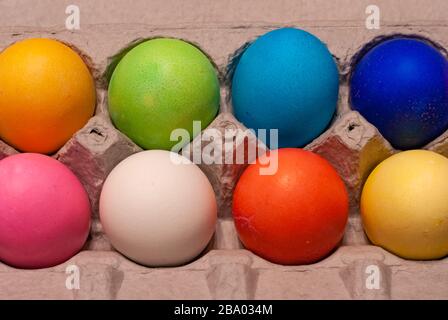 2 rows of orange, green, blue, pink, white, red and yellow dyed eggs arranged in cardboard egg carton Stock Photo