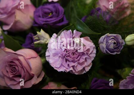 engagement ring sitting in the brides bouquet on her wedding day - no people Stock Photo