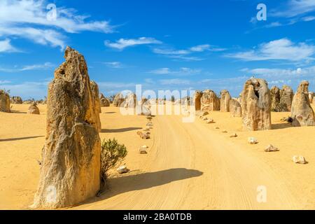 Dirt road through The Pinnacles, Nambung National Park, Cervantes, Western Australia, Australia Stock Photo