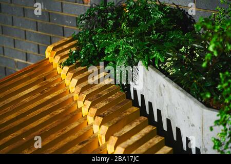 A yellow bench in London casting deep shadows on a plant pot with saturated green plants and a brick wall Stock Photo
