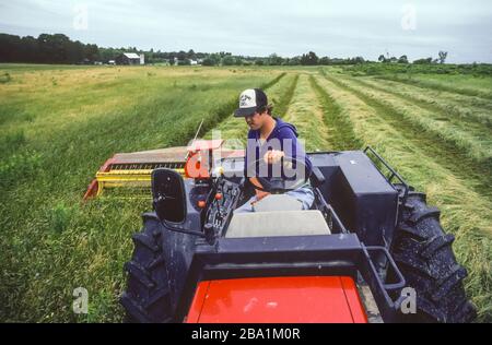 OSWEGO COUNTY, NEW YORK, USA, AUGUST 1986 - Farmer on tractor cutting hay at farm in town of Mexico, NY. Stock Photo