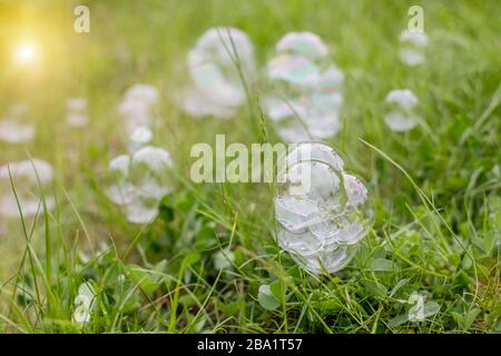 Bubbles on grass background.beautiful natural background with summer clear green meadow and soap bubbles brightly shimmer and fly in the air at sunset Stock Photo