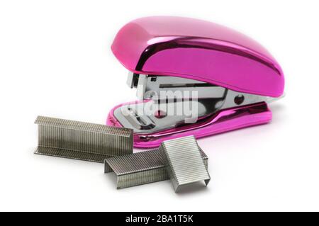 Pink office stapler on an isolated white background Stock Photo