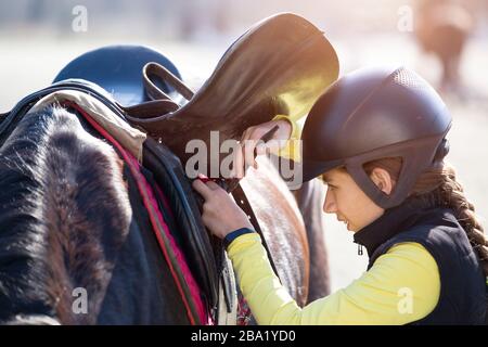 Young girl in helmet adjusting her sadle before horse riding Stock Photo