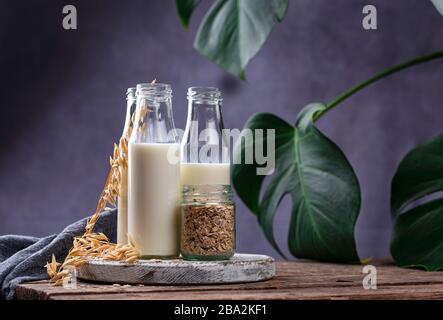Lactose free nondairy buckwheat milk Stock Photo