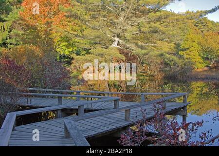Mytoi Japanese-style gardens, Chappaquiddick, Martha’s Vineyard, Massachusetts, USA Stock Photo
