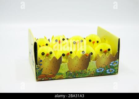 Group of cute Easter chicks in cardboard, paper basket Stock Photo