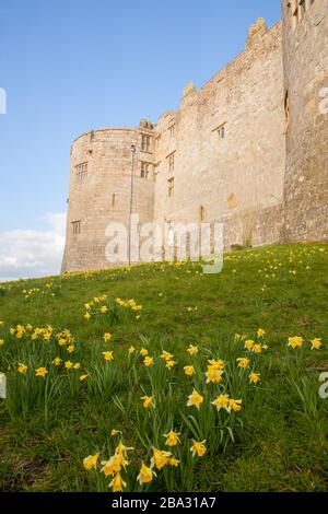 National Trust owned Chirk Castle a stately home on the English Welsh border at Chirk near Wrexham  in North Wales Stock Photo