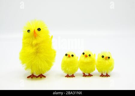 Cute little Easter chicks standing in a row Stock Photo