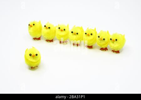 Cute little Easter chicks standing in a row Stock Photo