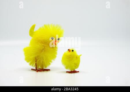 Cute little Easter chicks standing together Stock Photo