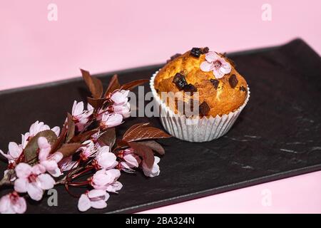 Chocolate muffin and cherry blossoms sakura, homemade bakery on dark and pink background. Food spring concept. Stock Photo