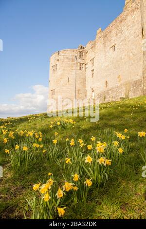 National Trust owned Chirk Castle a stately home on the English Welsh border at Chirk near Wrexham  in North Wales Stock Photo