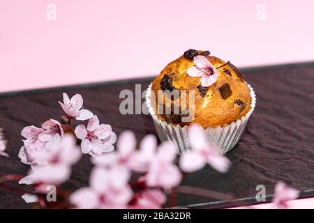 Chocolate muffin and cherry blossoms sakura, homemade bakery on dark and pink background. Food spring concept. Stock Photo