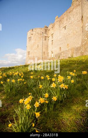 National Trust owned Chirk Castle a stately home on the English Welsh border at Chirk near Wrexham  in North Wales Stock Photo