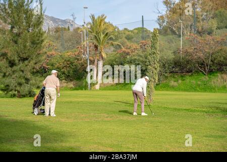 Senior couple playing golf on the green Stock Photo