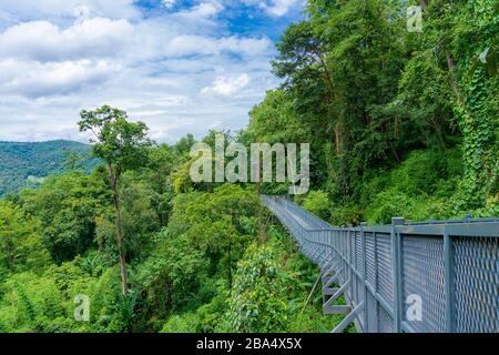 Elevated jungle forest Canopy Walkway in Mae Rim North Chiang Mai a tourist attraction at the Queen Sirikit Botanic Gardens Stock Photo