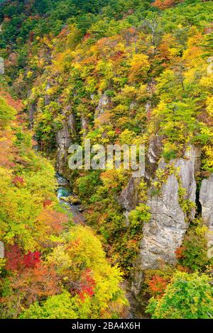 A river flowing through Naruko Gorge, Miyagi Prefecture, Japan. Stock Photo