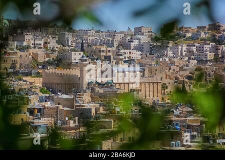 landscape view of Ibrahimi mosque or Cave of the Patriarchs at Hebron, Palestine from Tel Rumeida view with olive tree leaves Stock Photo