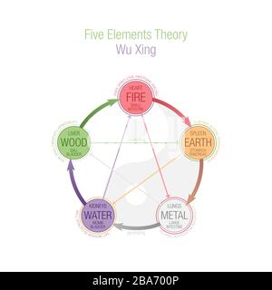 Five Elements Theory colored illustration. Wuxing, Wu Xing, 5-elements in Daoism and TCM, Traditional Chinese Medicine. Conceptual illustration, color Stock Photo