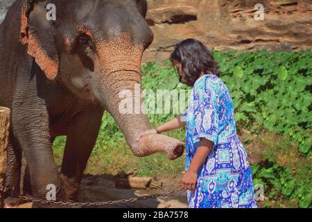 Visitors to Pinnawala elephant orphanage In Pinnawala, Sri Lanka Stock Photo