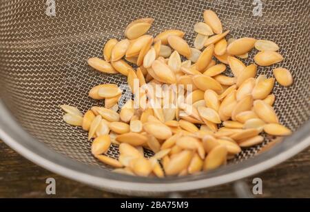 Melon seeds ready for planting in spring Stock Photo