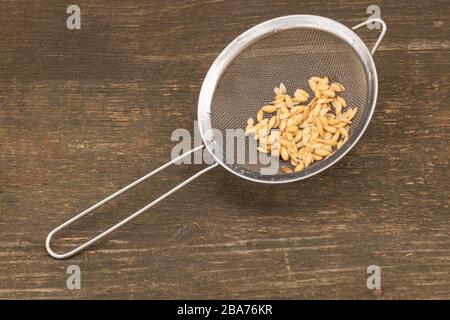 Melon seeds on wooden background ready for planting in spring Stock Photo