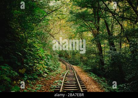 an abandoned railway in a mysterious dense dark forest Stock Photo