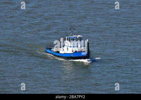 a vintage blue and white colored tug boat making its way in the Maas River in the Netherlands on a clear and Stock Photo