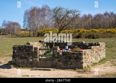 ASHDOWN FOREST, EAST SUSSEX/UK - MARCH 24 : View of the The Airman's Grave in Ashdown Forest East Sussex on March 24, 2020 Stock Photo