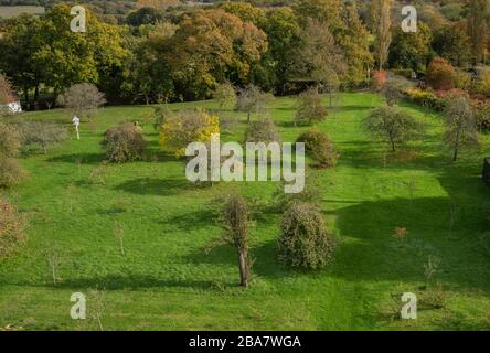 View of the orchard at Sissinghurst Castle Garden, at Sissinghurst, Weald, Kent, in autumn. Stock Photo