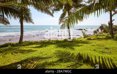 Tropical landscape with palm trees and the sea. Stock Photo