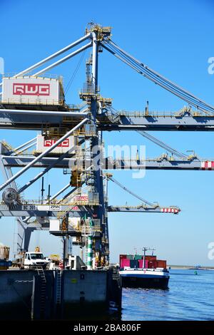 Rotterdam, The Netherlands - August 2019; Rows of gantry cranes towering high above the loading dock; loading container barge for further transport on