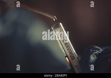 Conceptual photograph of a doctor taking samples from a test tube with a pipette, while testing for presence of coronavirus (COVID-19). Stock Photo