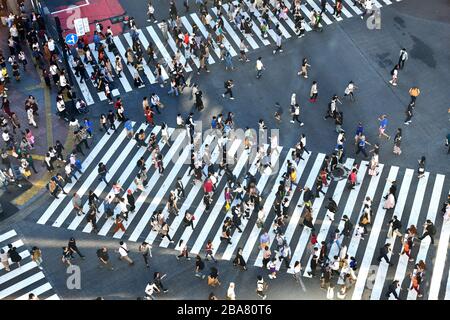 High angle view of people on the crossing of famous Shibuya intersection just outside the train station Stock Photo