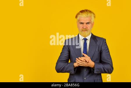professional business manager. Elegant man stylish costume. mature businessman making decision. serious and concentrated boss. bearded ceo in formal suit. blond hipster with dyed beard hair. Stock Photo