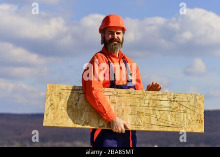 Engineered wood product. Assemble temporary equipment or structures. Renovation services. Man carry fiberboard. Fiberboard used in residential and commercial construction. Set up scaffolding. Stock Photo