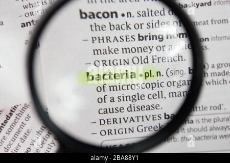 The word or phrase bacteria in a dictionary. Stock Photo