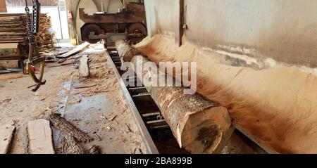 Sawing timber of machining logs in sawmill Stock Photo