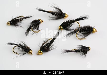 Selection of trout fishing flies in a white foam fly box Stock Photo - Alamy