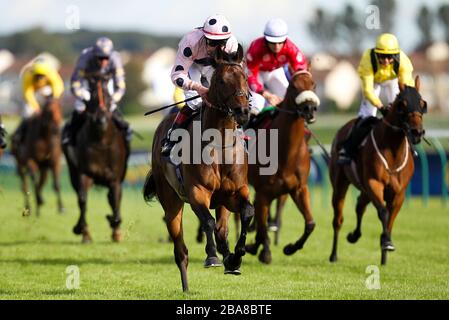 Captain Ramius  ridden by Pat Smullen wins the William Hill Ayr Gold Cup Stock Photo