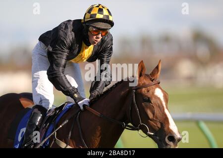 Los Nadis ridden by jockey Neil Farley during the Dumfries House Handicap Stock Photo