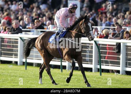 Getabuzz ridden by jockey David Allan going to post prior to the Isle Of Skye Handicap Stock Photo