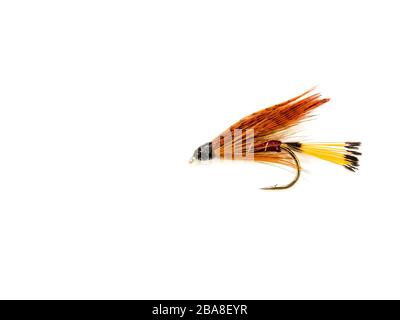 Traditional Wet Fly fishing fly for trout, Grouse & Orange Stock Photo -  Alamy