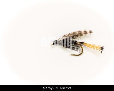 Traditional Wet Fly fishing fly for trout, Grouse & Orange Stock Photo -  Alamy