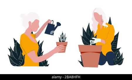 Girl watering flowers. Woman replants houseplants. Vector illustration on a white background Stock Vector