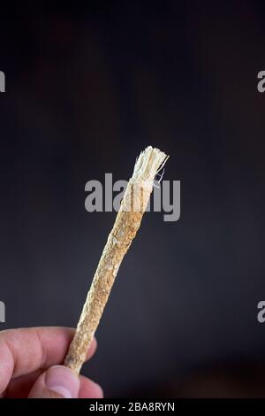 Hand Holding Miswak Or Siwak Sticks Over The Black Great Photo For