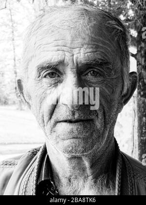 Old man shopping in a market in Kutaisi, Georgia Stock Photo