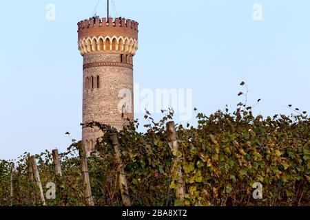 Vineyards of San Martino della Battaglia DOC wine. In the background the monumental tower of the Italian Risorgimento. Lombardy, Italy. Stock Photo