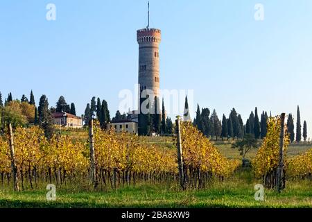 Vineyards of San Martino della Battaglia DOC wine. In the background the monumental tower of the Italian Risorgimento. Lombardy, Italy. Stock Photo